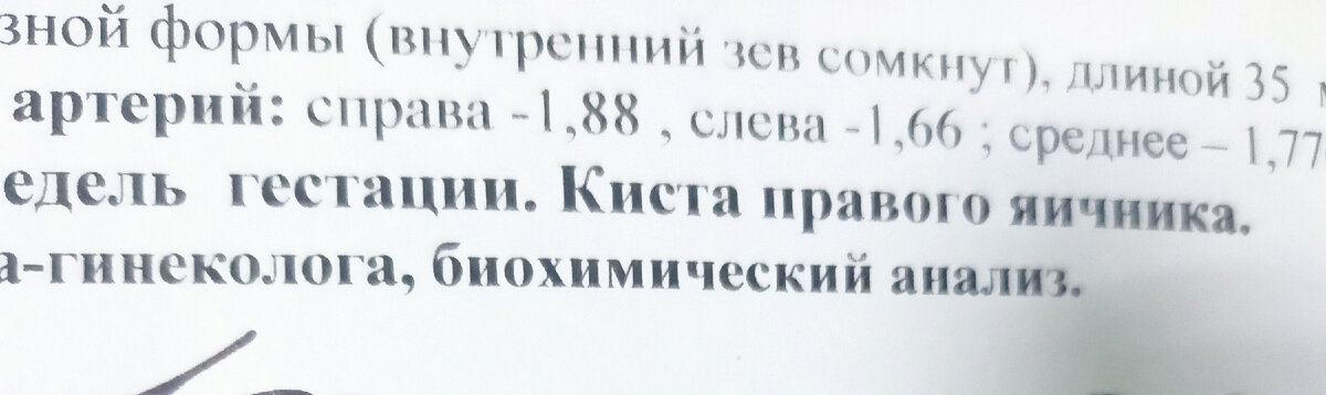 В заключении записали только правого яичника, хотя говорили, что есть в обоих. В одном побольше, в другом поменьше. Видимо, учли только ту, что побольше... Фото автора 