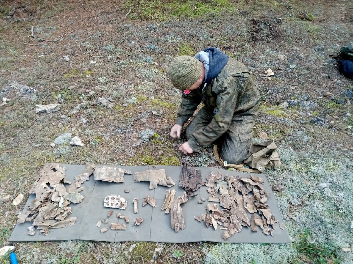 материал по ИЛ-4