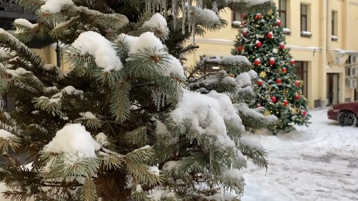 Немного Питера в зиме. Петроградка, центр и красивые ёлочки