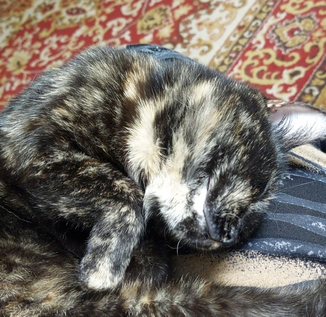 Вот такая нежность)