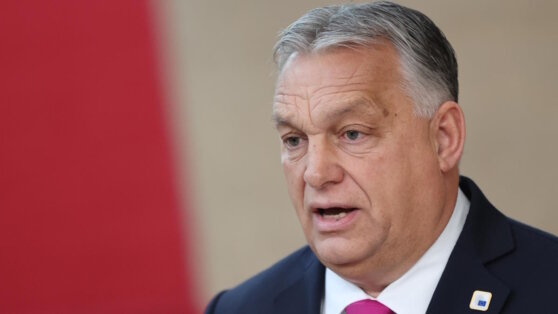    СМИ: премьер Италии убедила Орбана не блокировать вступление Украины в ЕС Егор Ильяшов