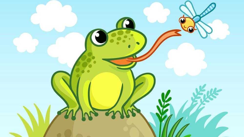 Фото из открытых источников