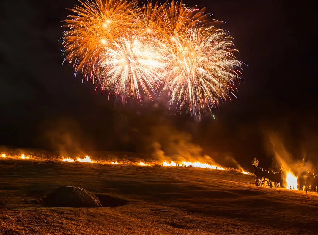 Все-таки японцы немножко сатанисты. Зачем все палить-то? Вдруг там белки живут