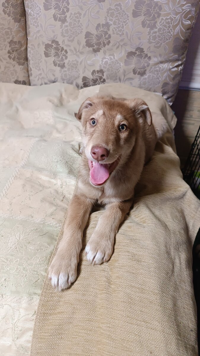 Просто Филя