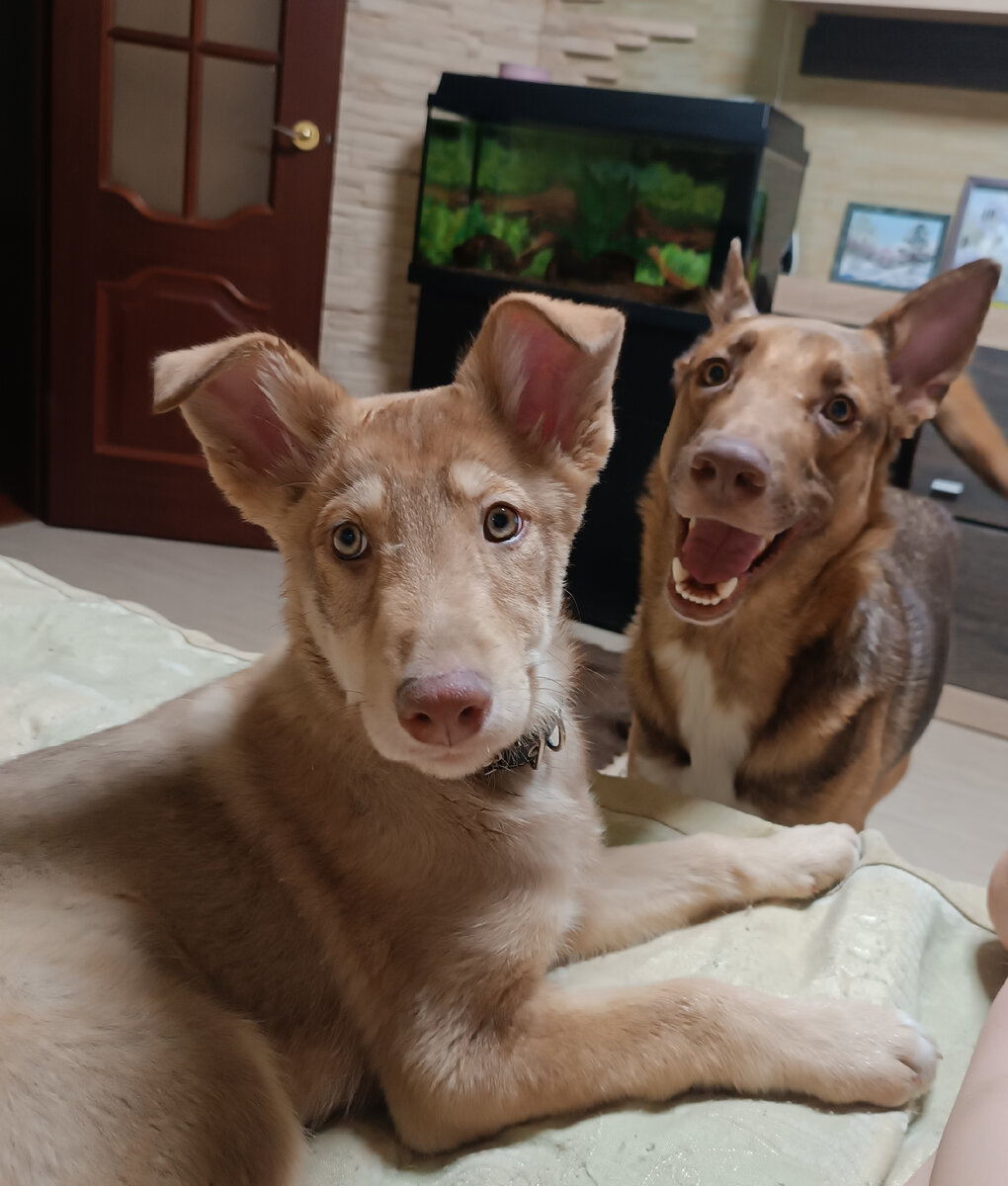 Мои красавчики 