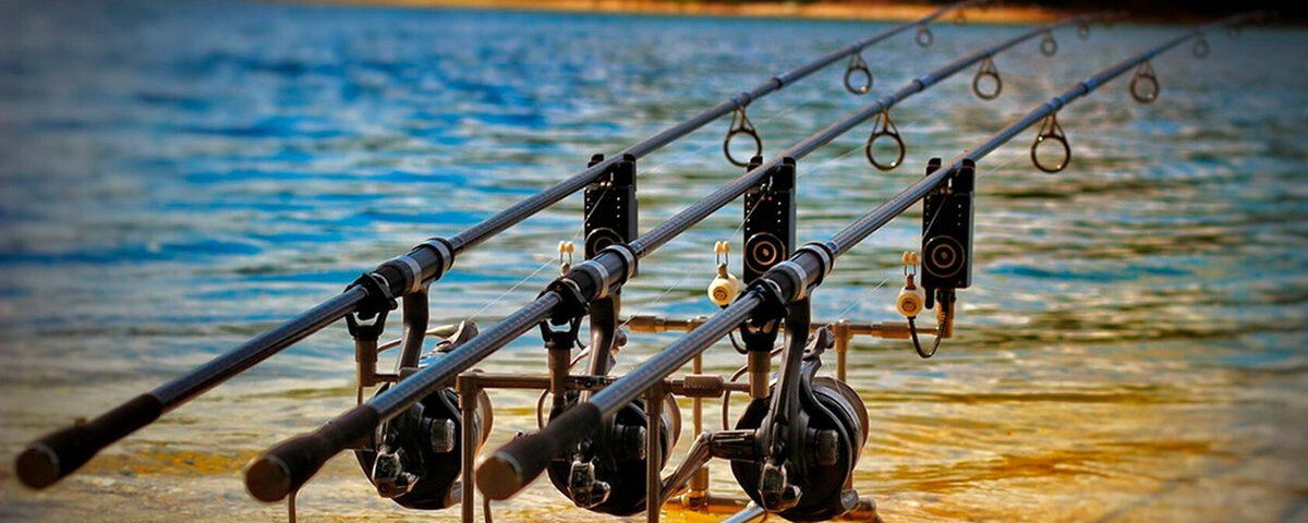 Удилища для карпфишинга.