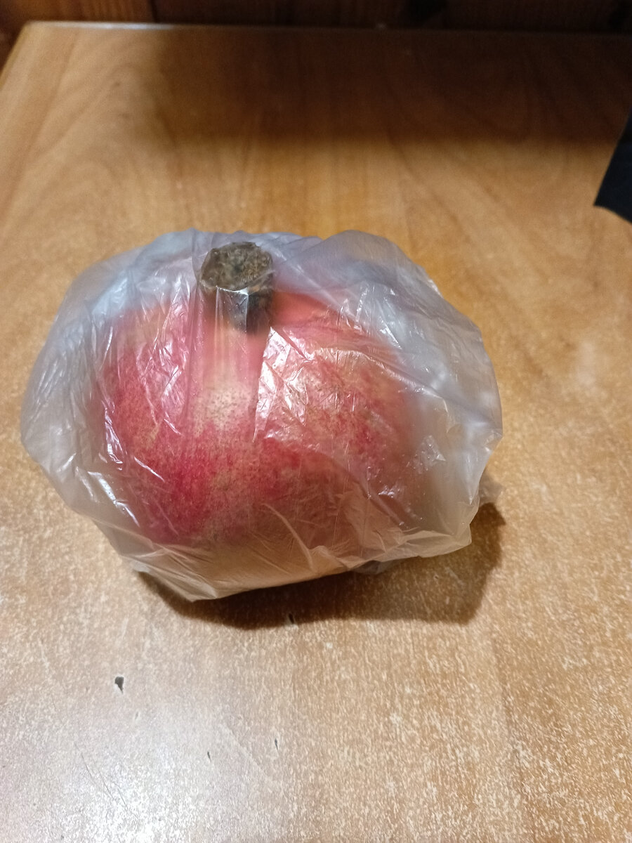 Фото автора.