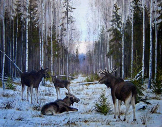 Лоси на аэродроме