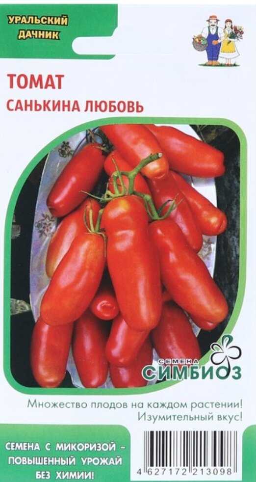 семена томата санькина любовь. томат санькина любовь уральский дачник. сорт томатов санькина любовь. томат санькина любовь характеристика. помидоры санькина любовь описание.
