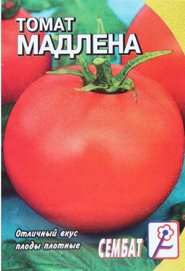 семена смешные названия. кабачок итальянский сувенир,смесь 2 г. семена огурца веселые гномики. кабачки веселые ребята описание. смешные названия семян овощей.