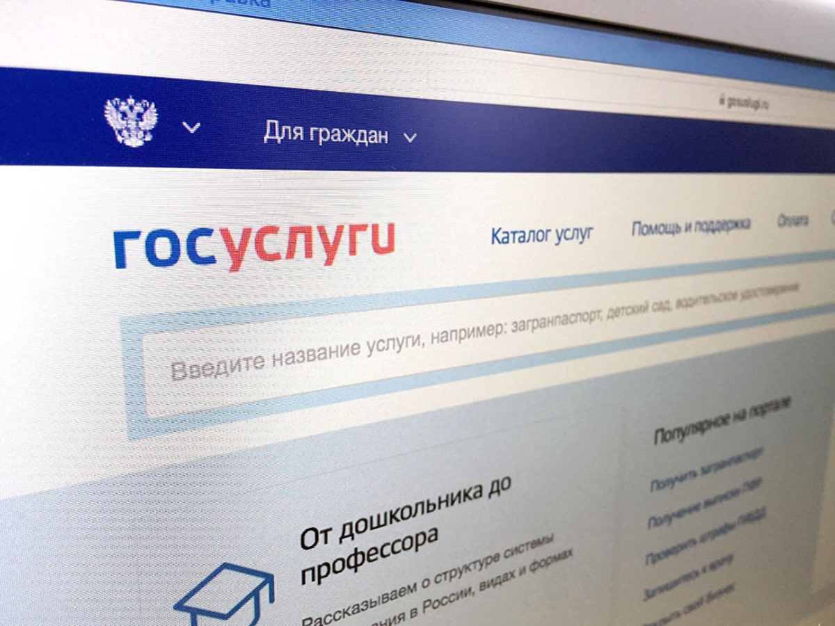 Госуслуги граждан. Госуслуги фото. Портал государственных услуг. МФЦ электронные дубликаты. Портал государственных услуг Тюменской области