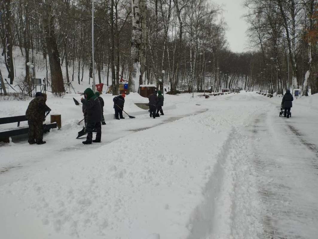 Горком 36 новости воронежа