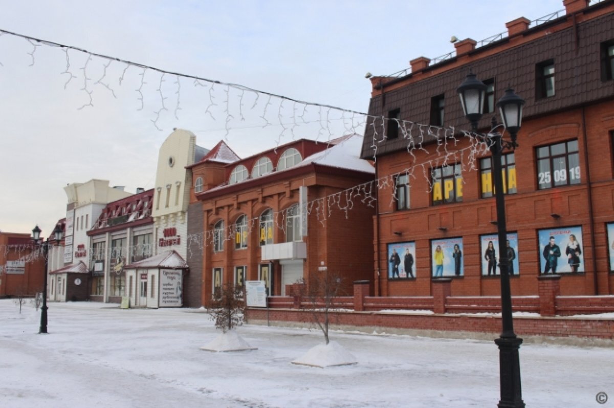    Шестиметровую елку установят на улице Мало-Тобольской в Барнауле