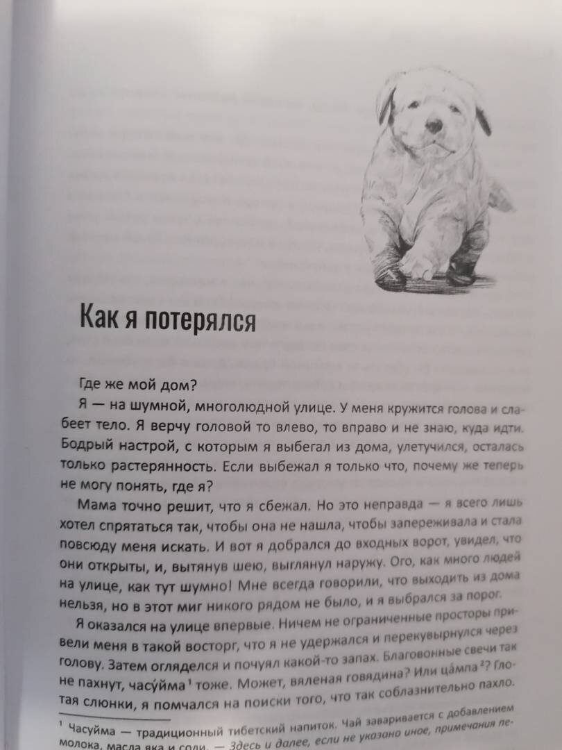 Китайская литература «Дава в заснеженных горах» | ⛸РАЙСКИЕ ВЕСТИ🎋 | Дзен