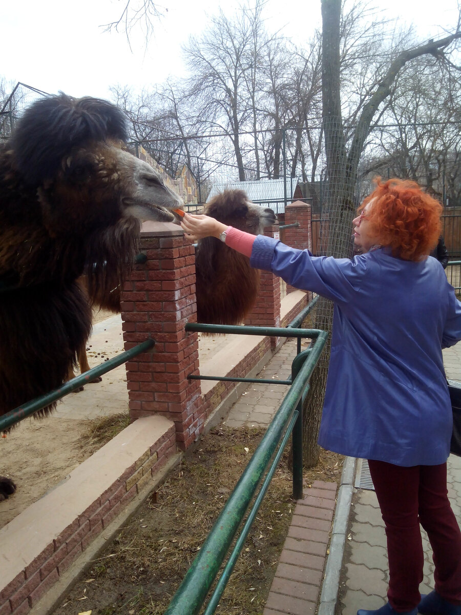 На фото - Баба Яга на тропе войны.  Боевой окрас в связи с попыткой покрасить волосы дома, так как мой мастер уехал в отпуск(( Это была единственная попытка!