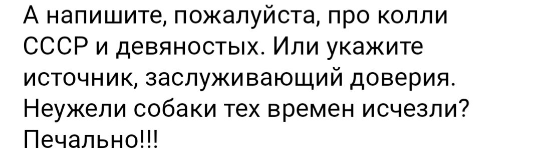 В комментариях к одной из статей прозвучал вопрос о колли СССР  Ответить коротко не получается, выходит целая статья. Начну с того, что колли 90-х - это всё ещё колли СССР.-2