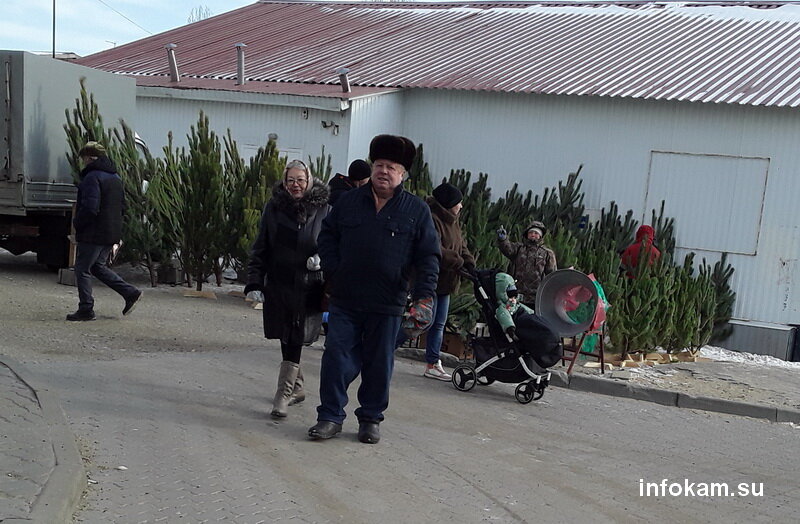    Ёлочный базар в Камышине