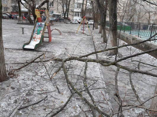    В Ростове 15 декабря зафиксировали падение 293 деревьев и крупных веток из-за обледенения //Фото из паблика Ростов Главный