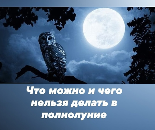 Расстановки Даяна Шарма