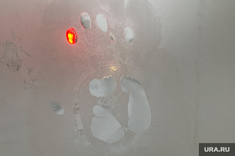    В некоторых населенных пунктах отменили занятия с 1-й по 8-й класс