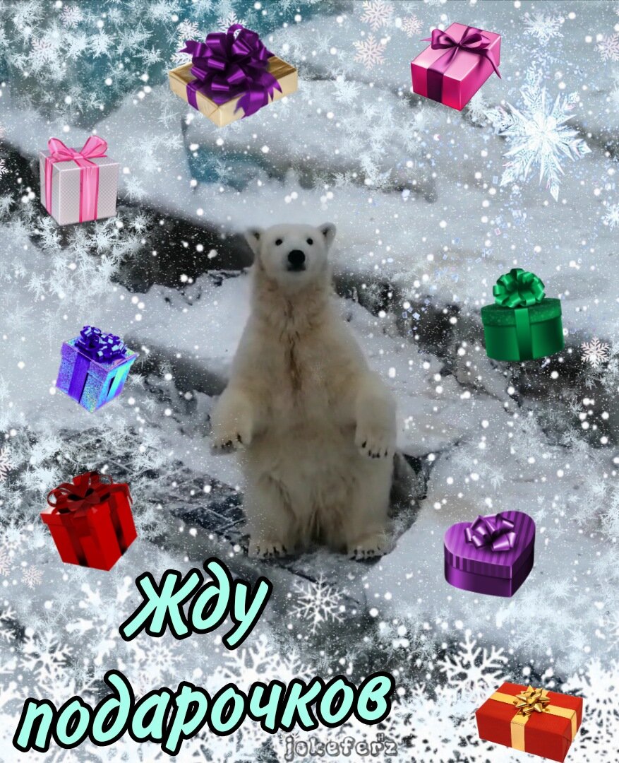 Белка Стрелка день рождения 