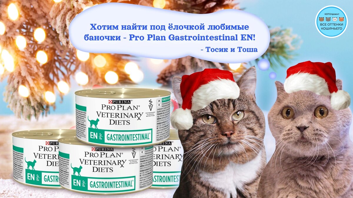 @ ВСЕ ОТТЕНКИ КОШАЧЬЕГО 