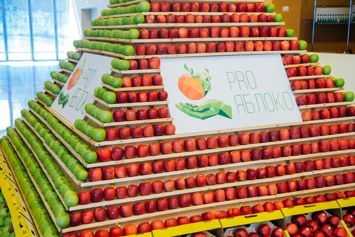    Главное событие для садоводов и питомниководов, международная выставка «PRO ЯБЛОКО» уже в 6-й раз пройдет в Минеральных Водах в июне 2024 года