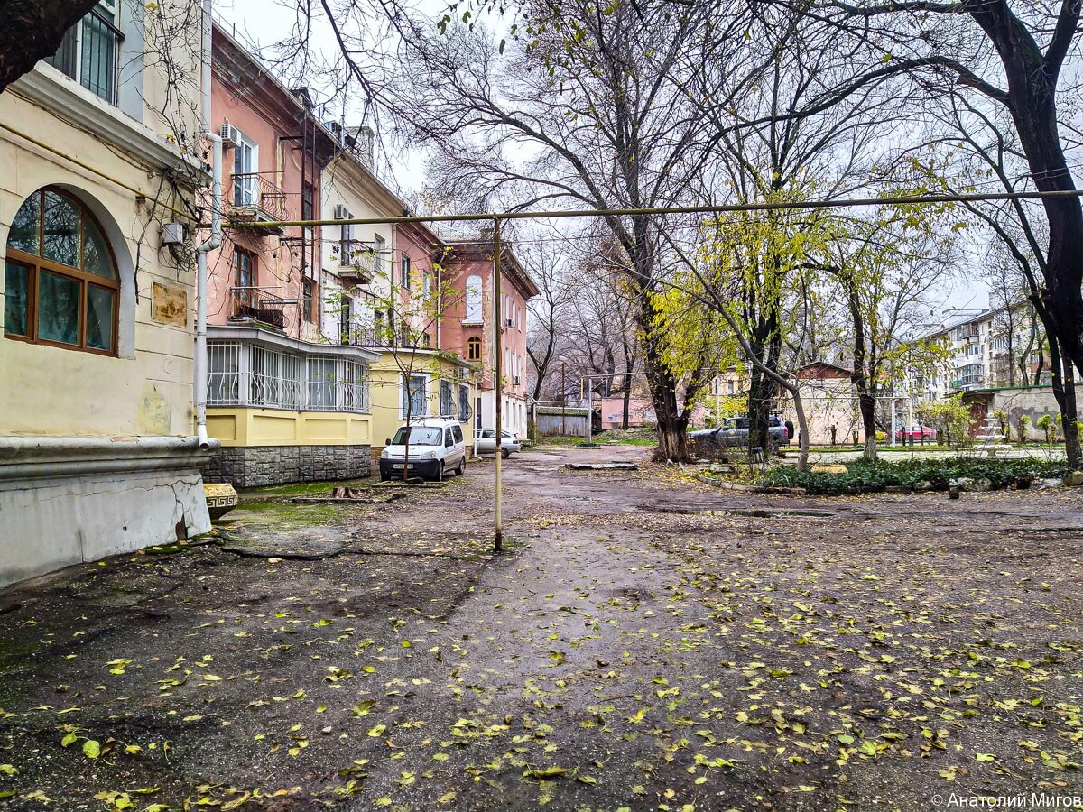 Уютный кусочек Феодосии в середине тёплого декабря | Дневник отчаянных  пенсионеров | Дзен