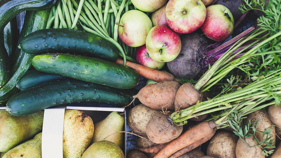     Источник здесь и далее: unsplash.com