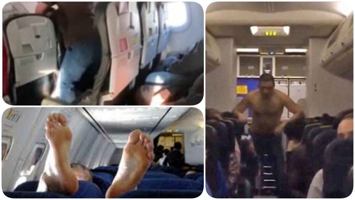 авиадебоширы