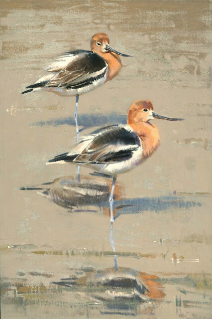 Отдыхающие американские шилоклювки