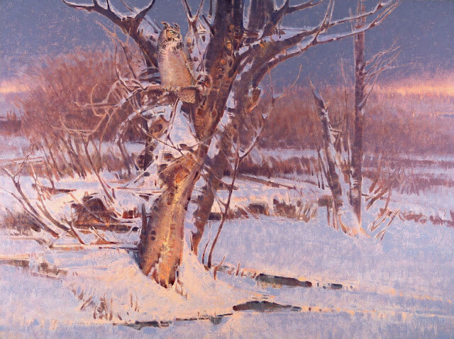 Между закатом и рассветом. Виргинский филин.