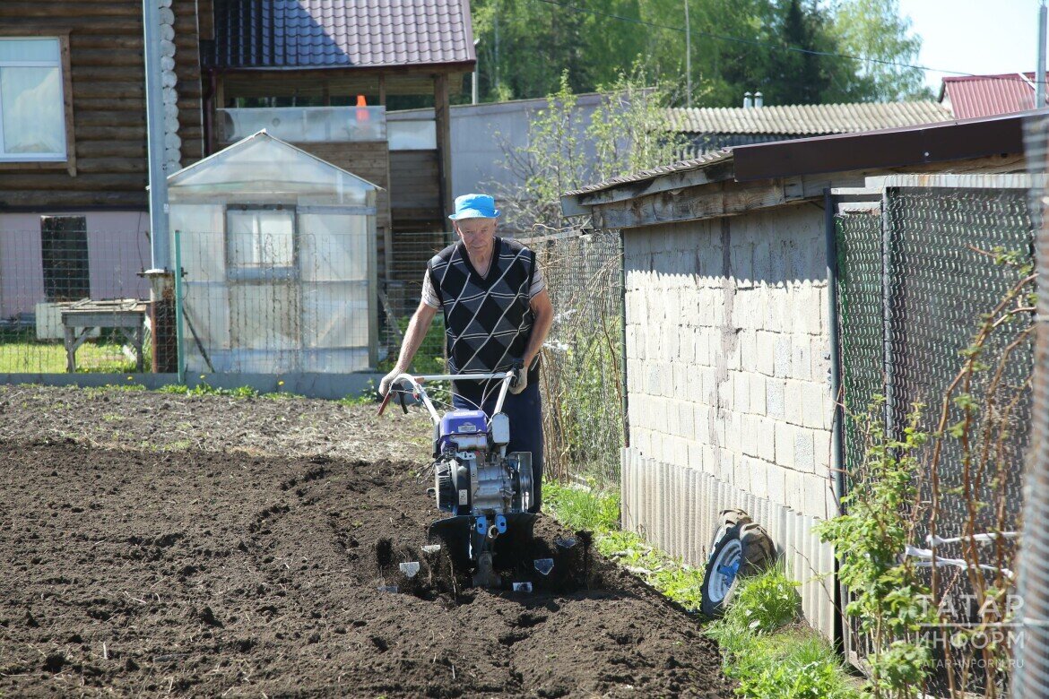 Сел плюс