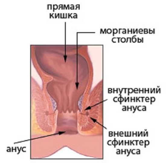 Апоплексия яичника – симптомы, причины, признаки, диагностика и лечение в «СМ-Клиника»