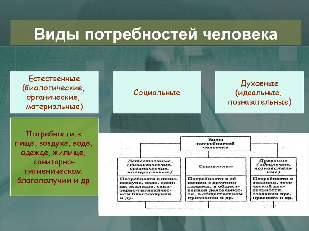 Виды биологических потребностей. Виды потребностей человека. Биологические и социальные потребности человека. Виды социальных потребностей.