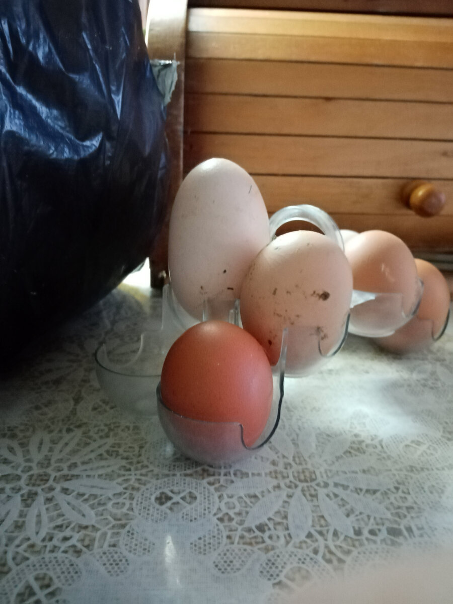 Одно за два.