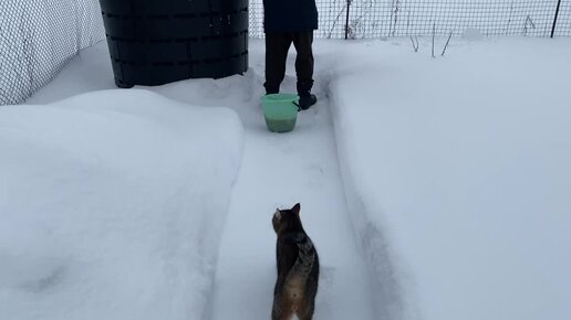 ЗАЧЕМ КУПИЛИ ДОМ В ДЕРЕВНЕ, ЧТО НАМ ОСТАВИЛИ ПРОШЛЫЕ ХОЗЯЕВА, ЧТО ...