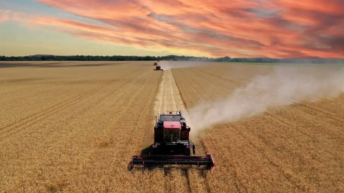 Фото: telegram-канал GOMSELMASHЗерноуборочные комбайны Гомсельмаш в работе Продолжение...