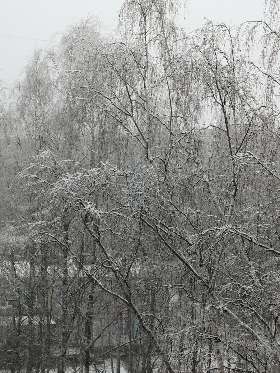 Фото автора от 23.12.23