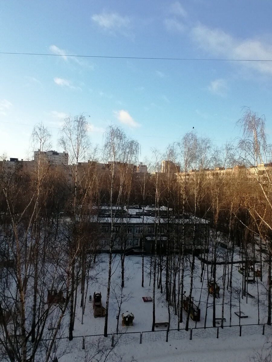 Будто взял декабрь у марта тёплый день взаймы... Фото автора канала от 17.12.2023