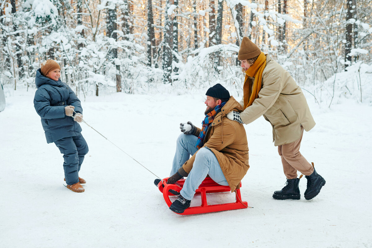 Выбираем санки