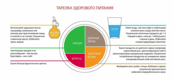 Метод тарелки отзывы. Ожирение дипломная.