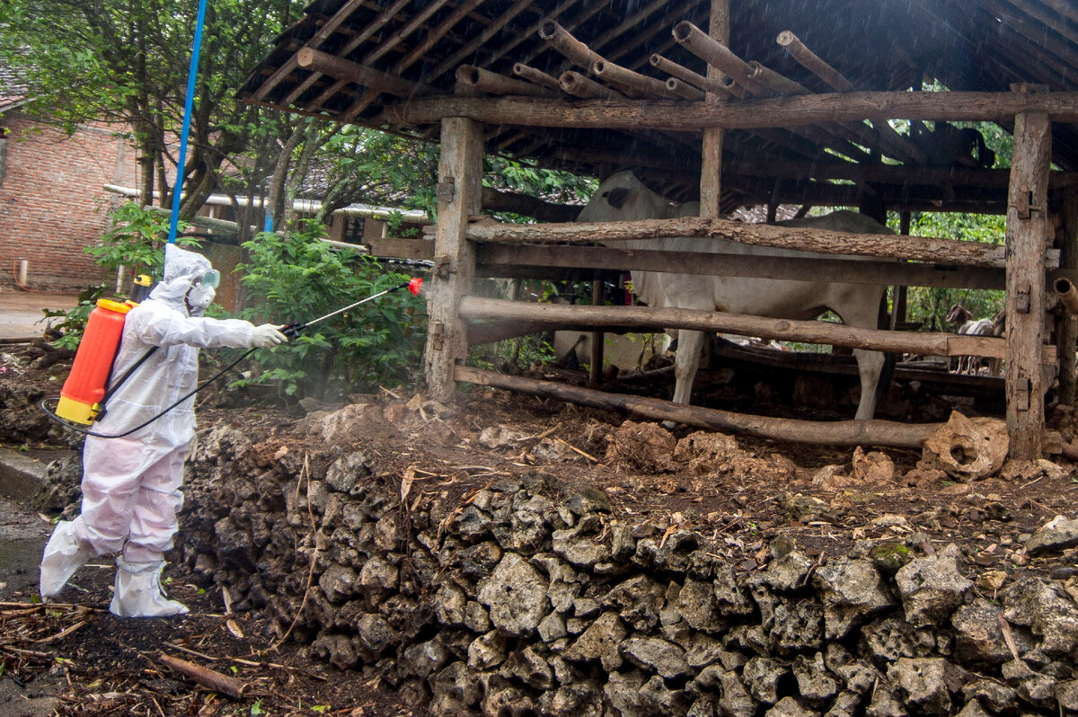ФОТО: AGUNG SUPRIYANTO/XINHUA 