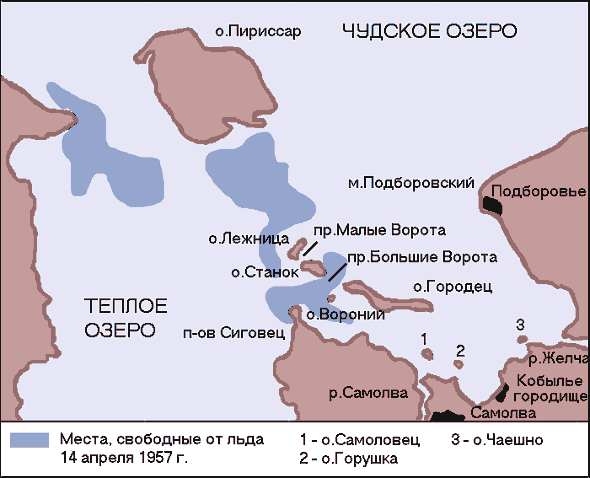 Современная береговая линия на стыке Чудского и Теплого озер. Изображение из интернета.