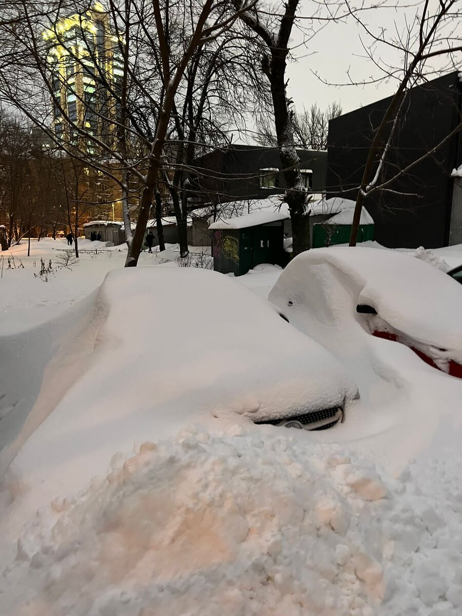 Машины в Воронеже на зимовке