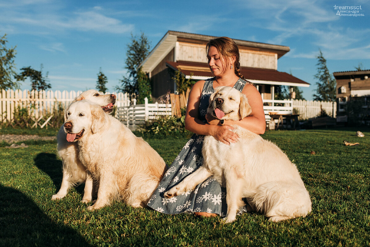 На фото я и мои золотистые ретриверы 