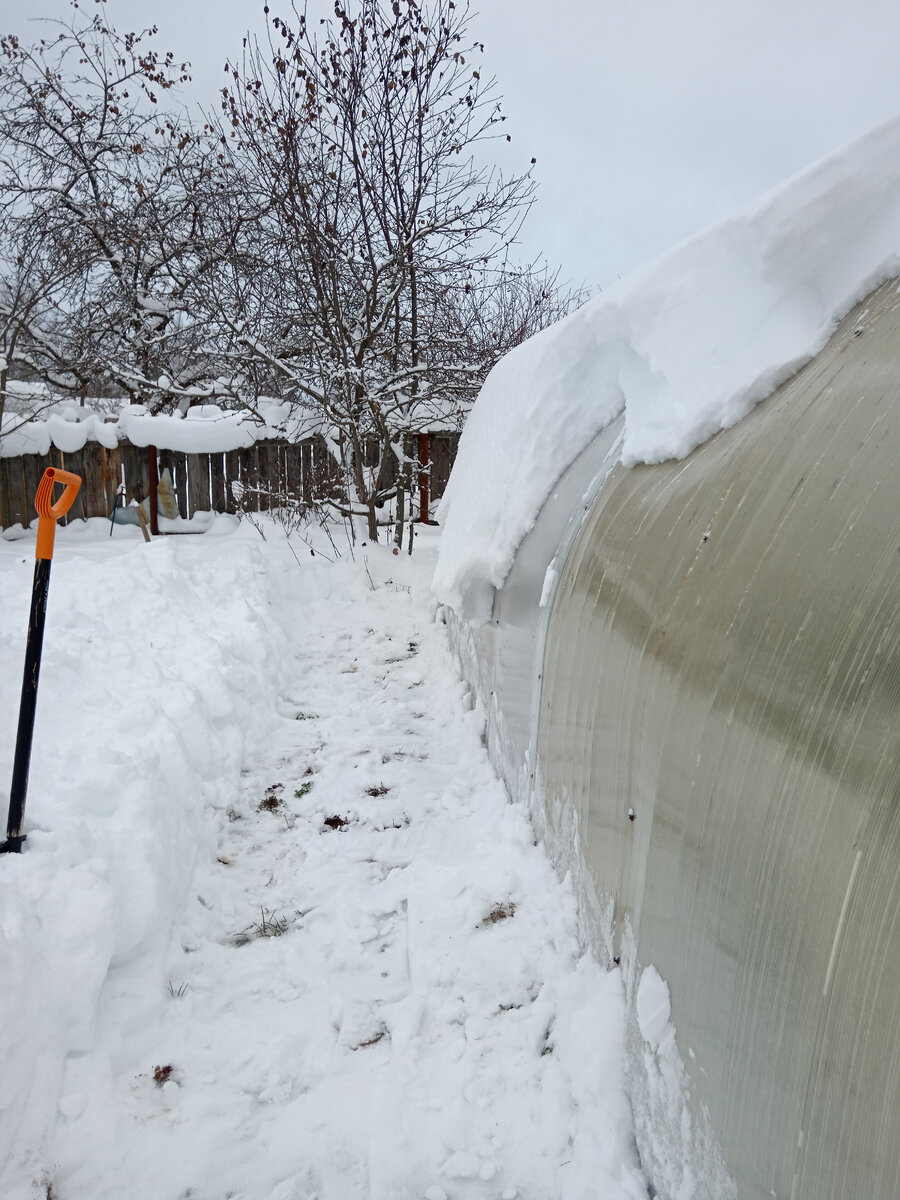 "Эх Ваня, Ваня" Сегодня наконец-то после снежного Вани отчистила теплицу, правда поняла, что надо заметить по весне один лист поликарбоната, лопнул, старенький уже. 