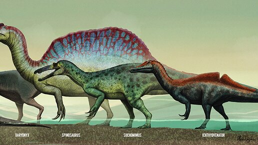 Спинозавриды и другие мегалозавроиды. Хищные динозавры. Размеры. Приятного просмотра!