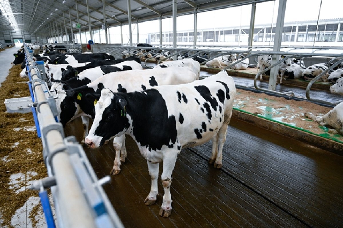    Более 300 млн рублей получит Псковская область для сельхозпредприятий