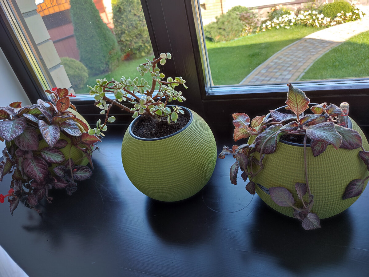 Хочется  такой подоконник, как у моего клиента, а есть вот такой‼️👇